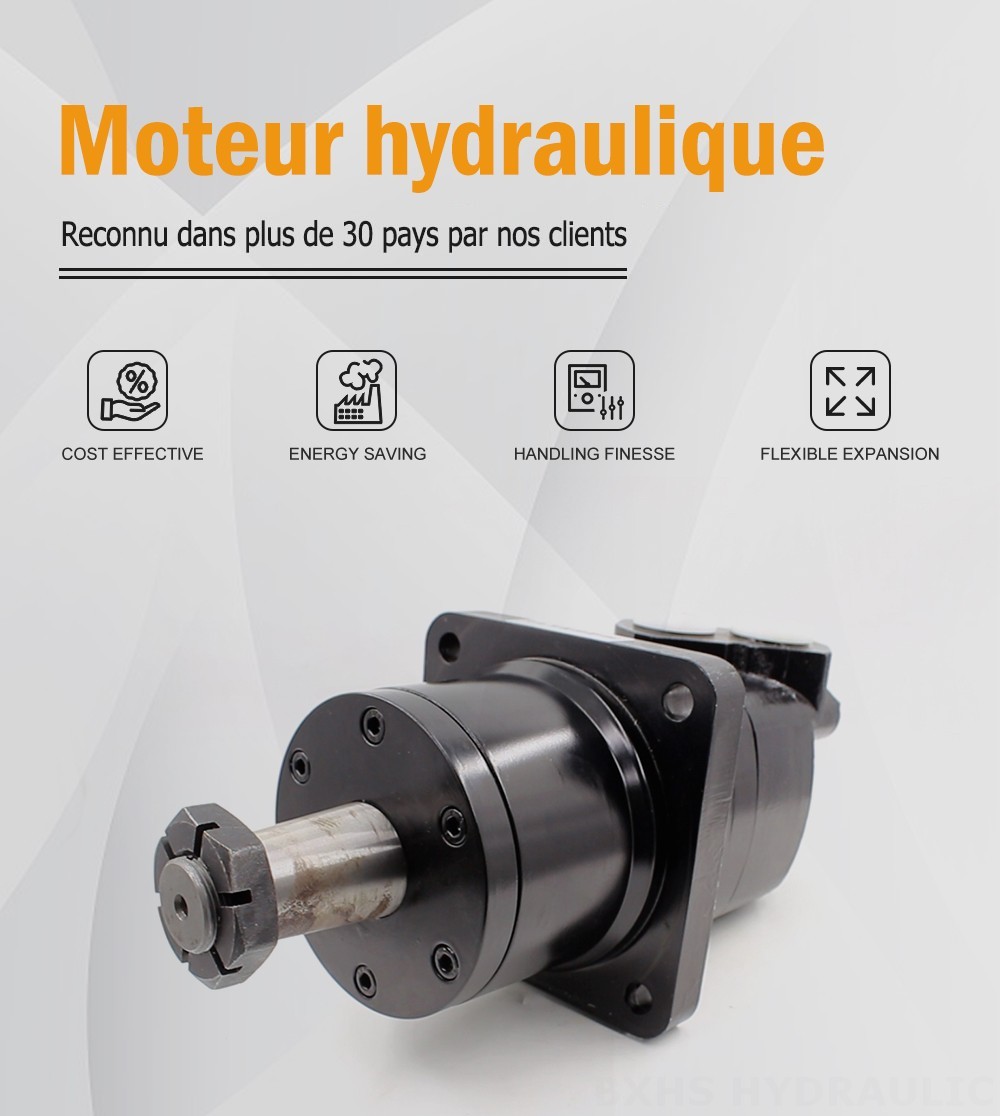 Moteur hydraulique cycloïde BM6W 310 cm³/tr 150 L/min Moteur hydraulique